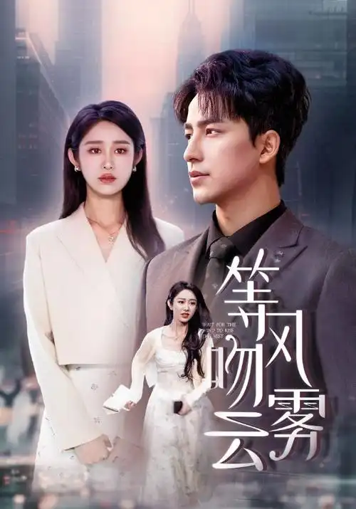 玫瑰的故事 剧集海报